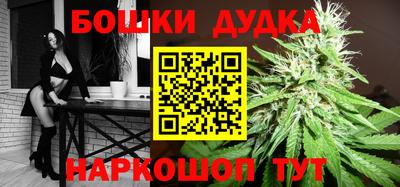 гашик Новодвинск