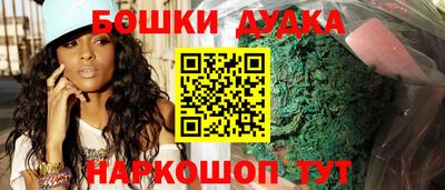 гашик Новодвинск