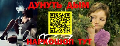 гашик Новодвинск