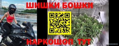 гашик Новодвинск
