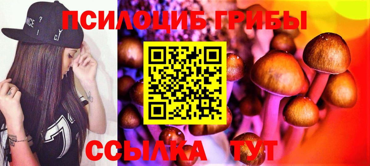 Галлюциногенные грибы мицелий Энгельс