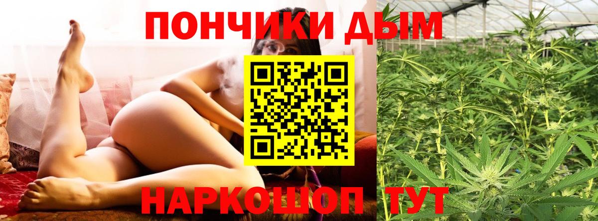 Канабис ГИДРОПОН Энгельс